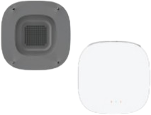 마스터 태그 뒷면